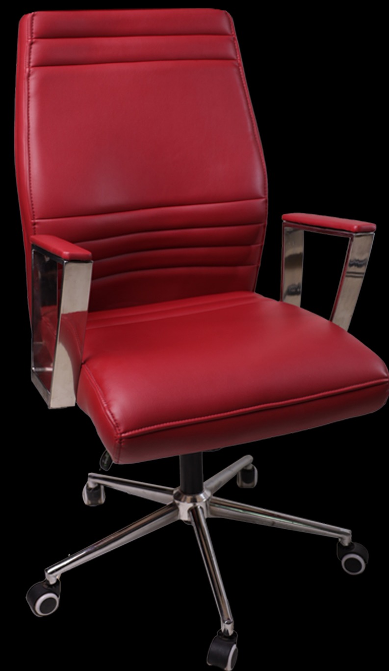 كرسي مكتب جلد بنجمه استنلس - الصورة 2